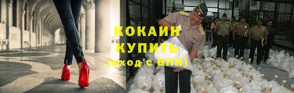 прущие грибы Коряжма