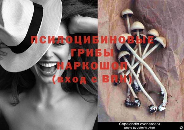 а пвп мука Абаза