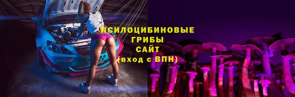 а пвп мука Абаза