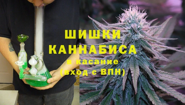 спайс Алексин