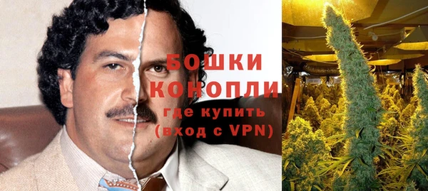 спайс Алексин