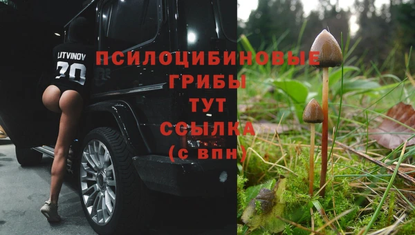 а пвп мука Абаза